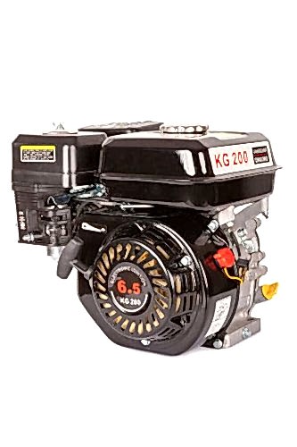 Balatlı 6.5 Hp Motor YP-TM-GR8001 - 1